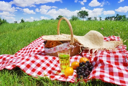 Rood en wit geruit kleed met picknickmand, strohoed, fruit en drankje op het gras met daarboven een blauwe lucht en wat wolken