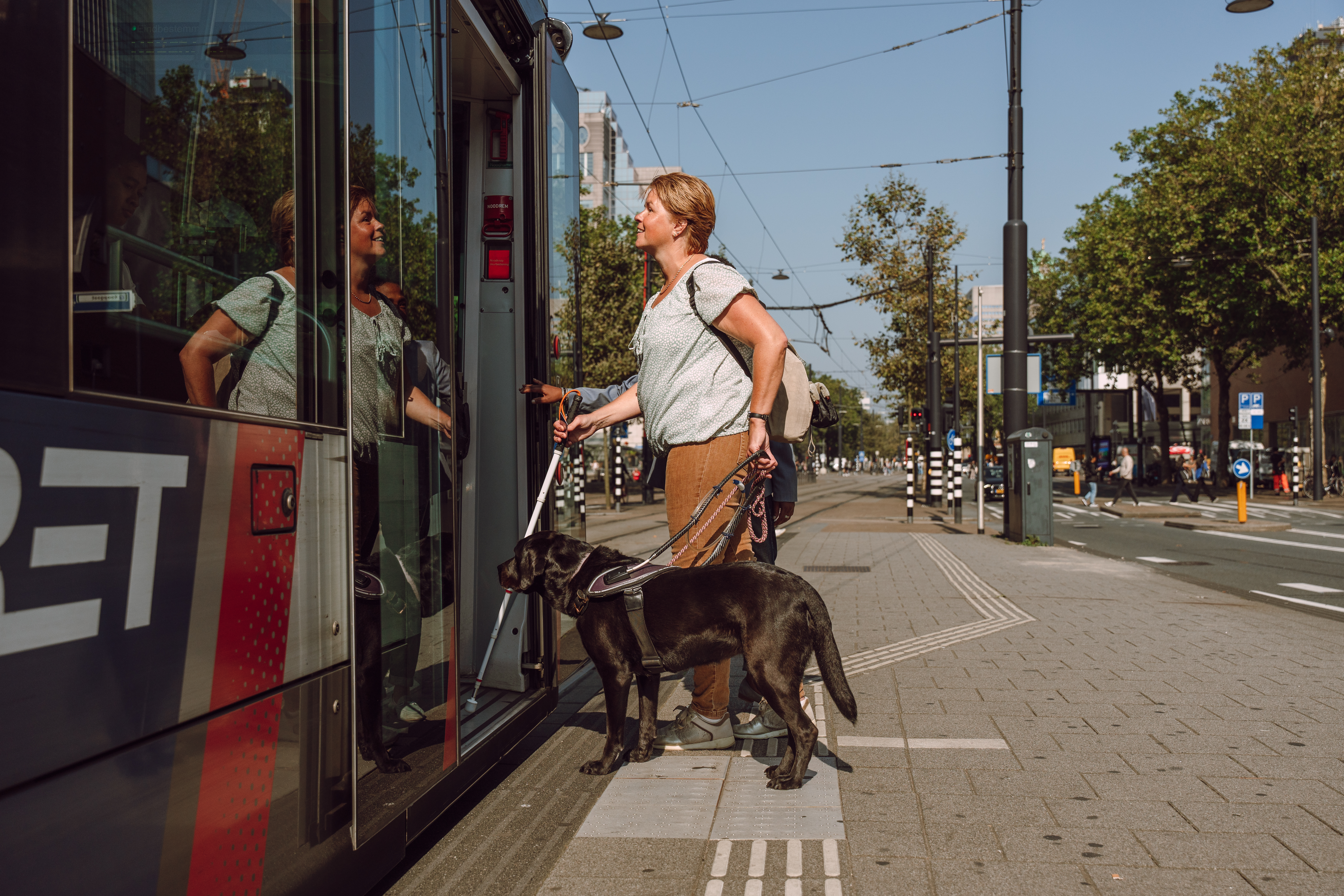 Vrouw stapt met taststok en blindengeleidenhond in de tram Vrouw stapt met taststok en blindengeleidenhond in de tram