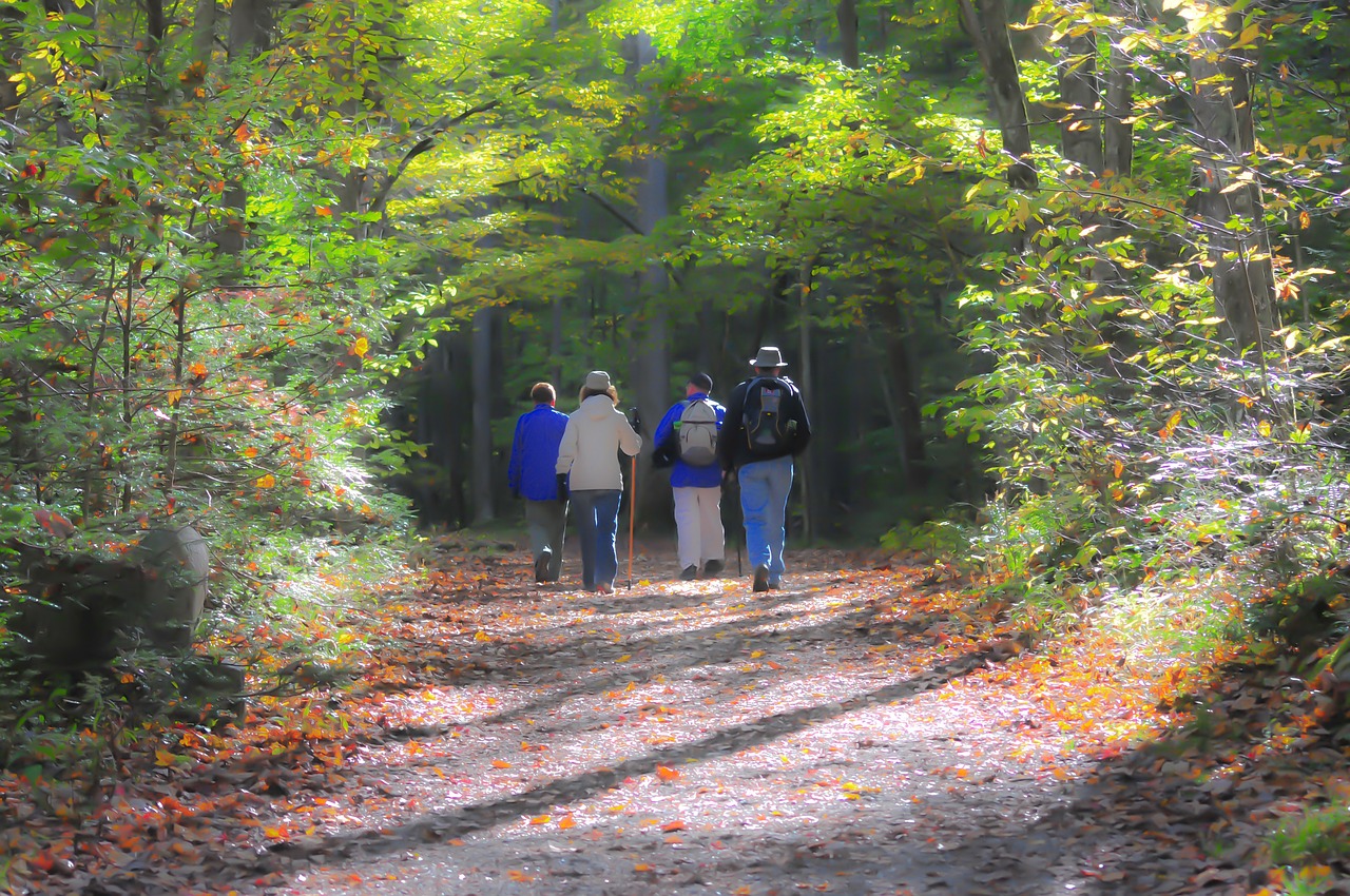 Wandelaars in het bos