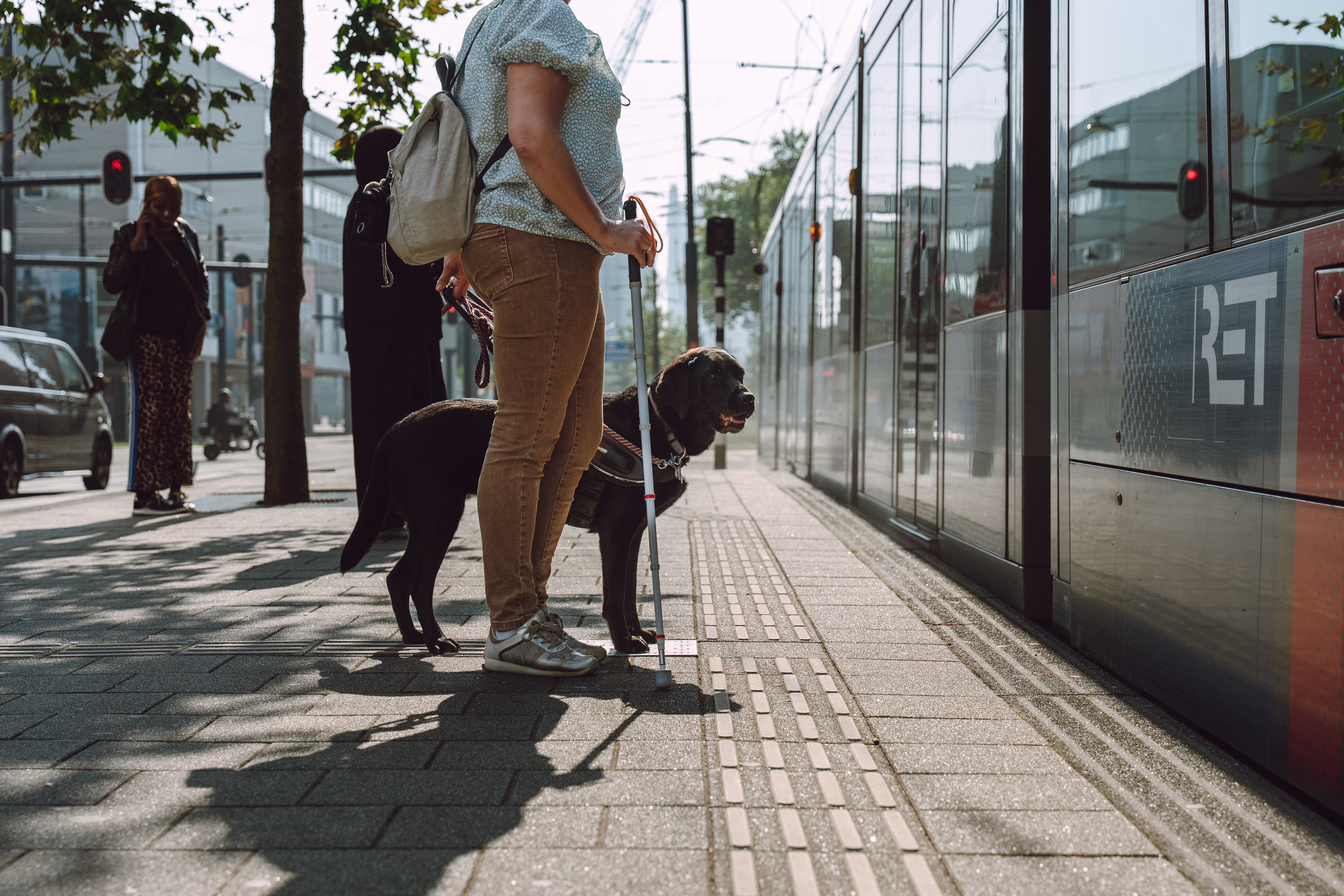Vrouw staat met taststok en blindengeleidehond op de tram te wachten Vrouw staat met taststok en blindengeleidehond op de tram te wachten