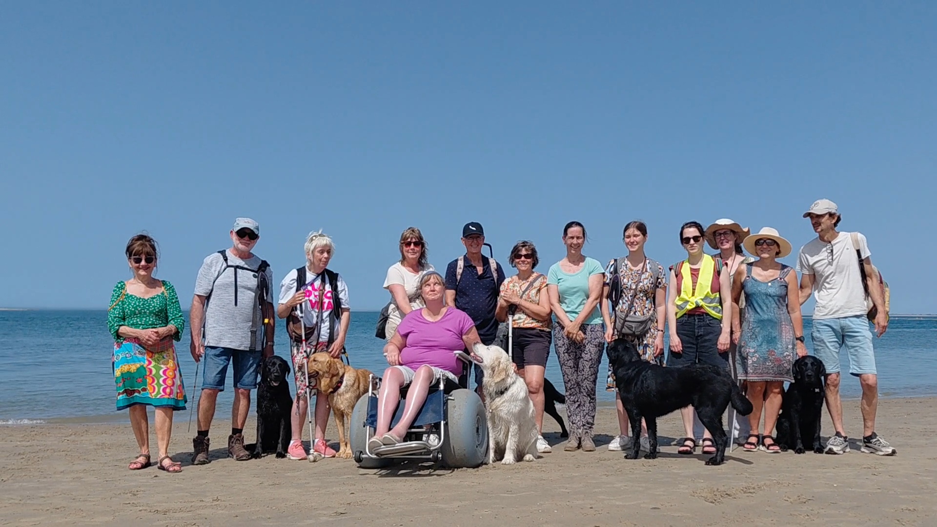 guide dogs at sea mei 2026.jpg guide dogs at sea mei 2026.jpg