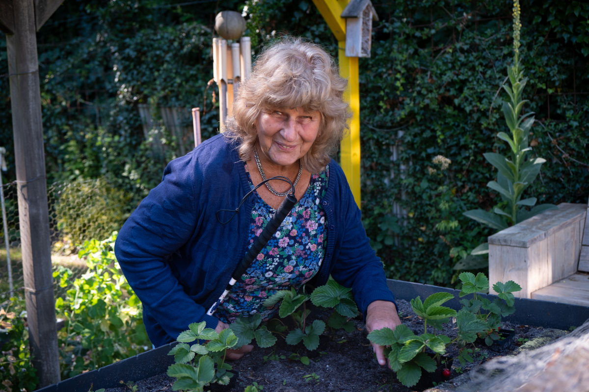 Cliënt bij Het Loo Erf werkt in moestuin. Cliënt bij Het Loo Erf werkt in moestuin.