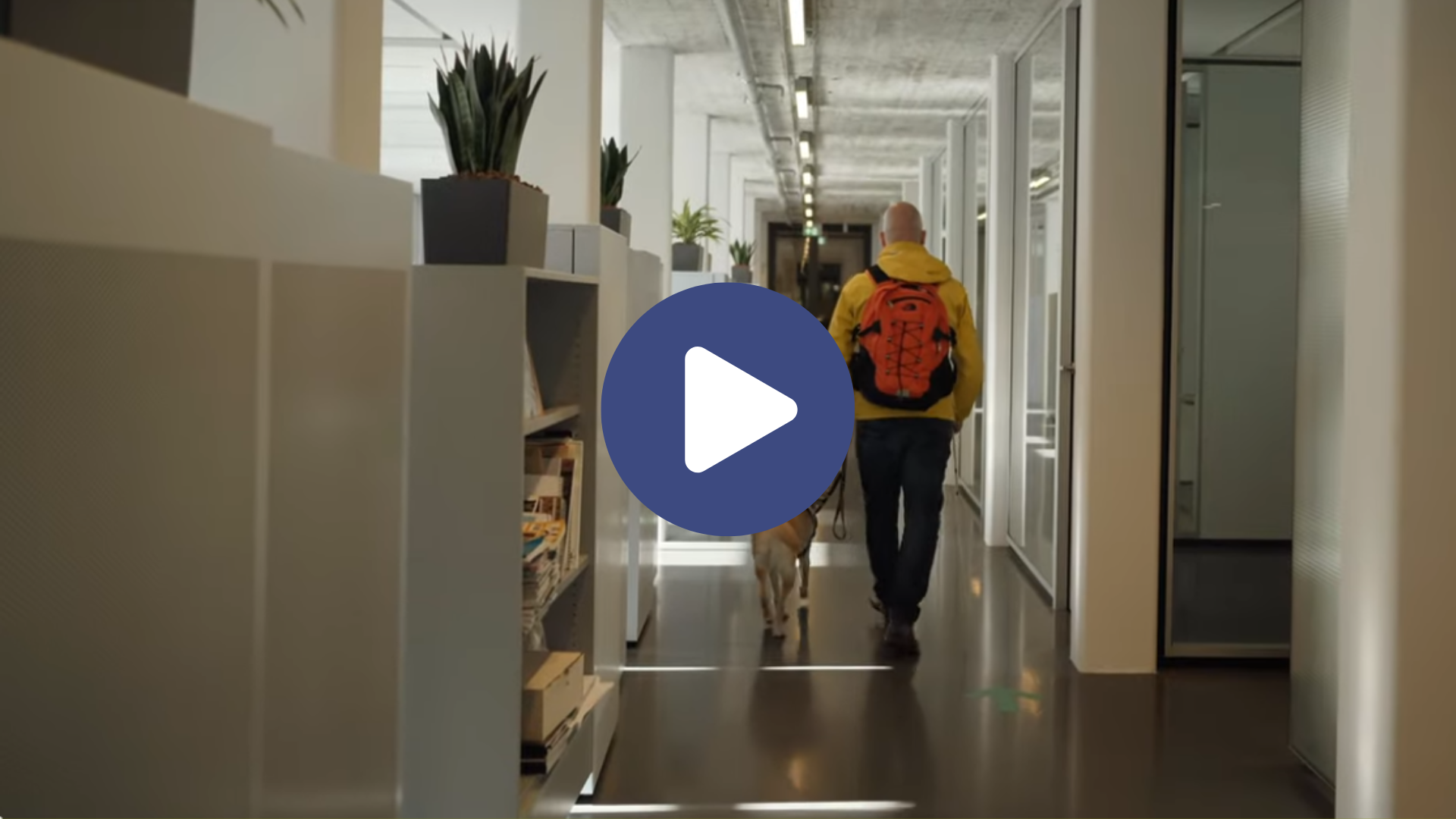 Ontwerp zonder titel.png Ontwerp zonder titel.png