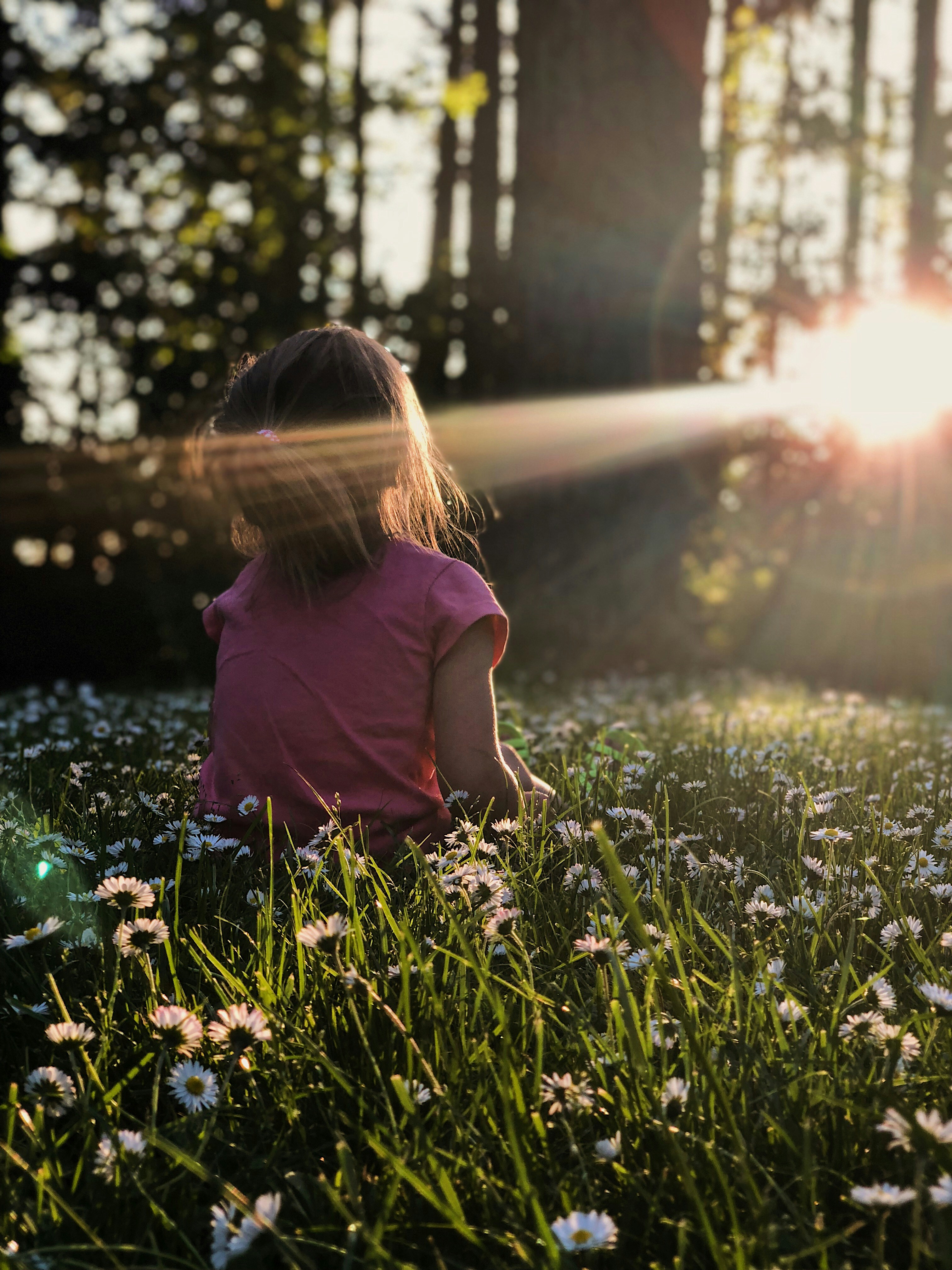 Een meisje zit in het bos op het gras. De zon schijnt door de bomen heen, ze kijkt richting het licht. Een meisje zit in het bos op het gras. De zon schijnt door de bomen heen, ze kijkt richting het licht.
