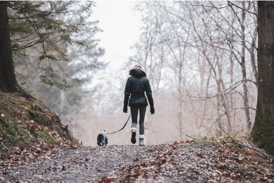 Vrouw met hond loopt in het bos