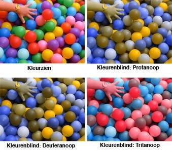 Foto van ballenbak met diverse kleuren en wat je bij verschillende vormen van
kleurenblindheid ziet