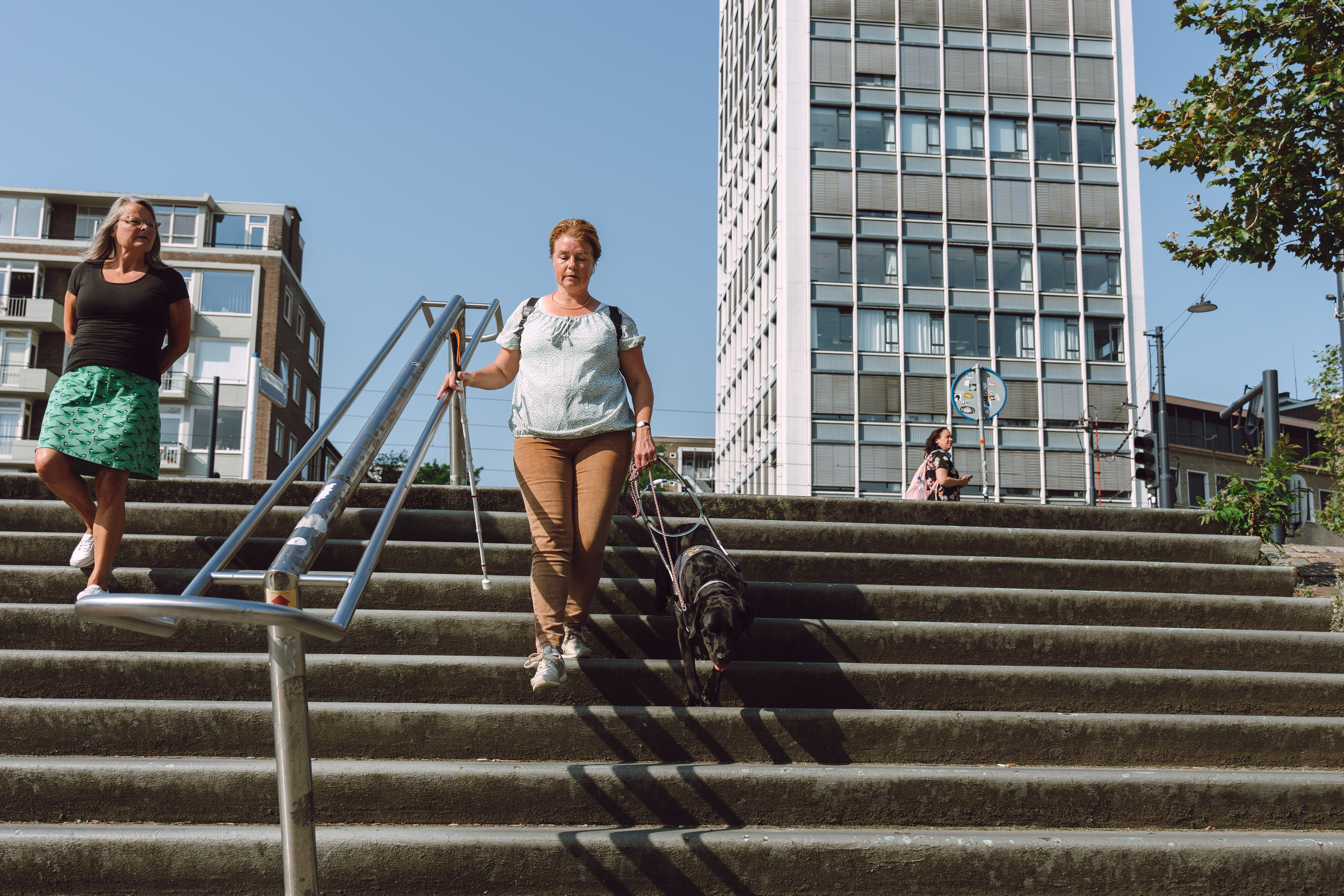visio-rotterdam--volwassene-blindengeleidehond-mobiliteit-taststok (1).jpg visio-rotterdam--volwassene-blindengeleidehond-mobiliteit-taststok (1).jpg