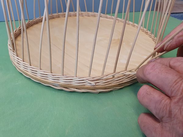 Pitriet vlechten met een visuele beperking.jpg Pitriet vlechten met een visuele beperking.jpg